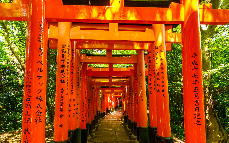 Portais torii vermelhos do Fushimi Inari em Kyoto, Japão
